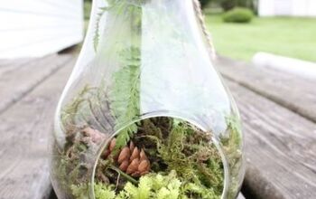 Bring Life Into Your Home With A Terrarium